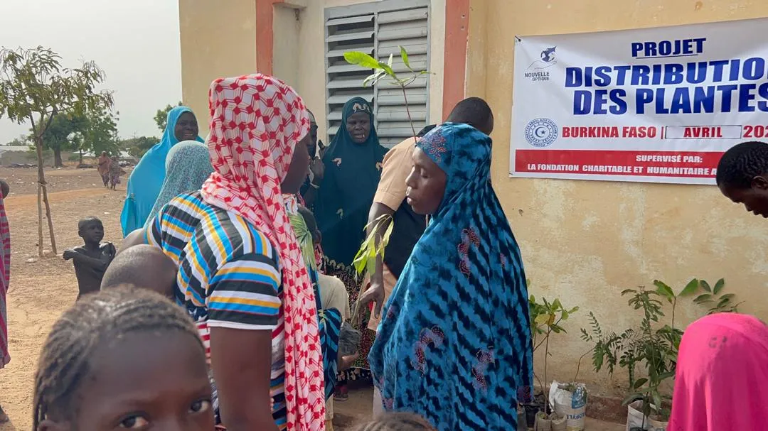 Distribution de plants, Burkina Faso