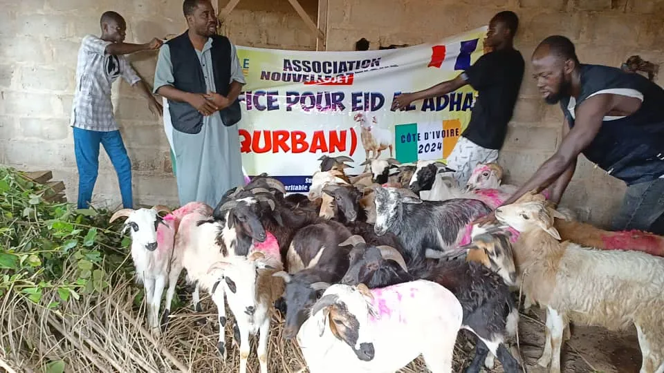 Moutons de Qurban, Côte d'Ivoire