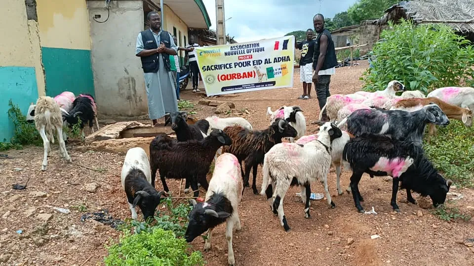 Moutons de Qurban, Côte d'Ivoire