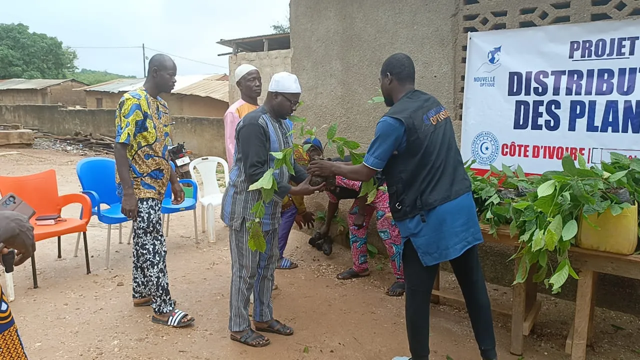 Distribution de plants, Côte d'Ivoire