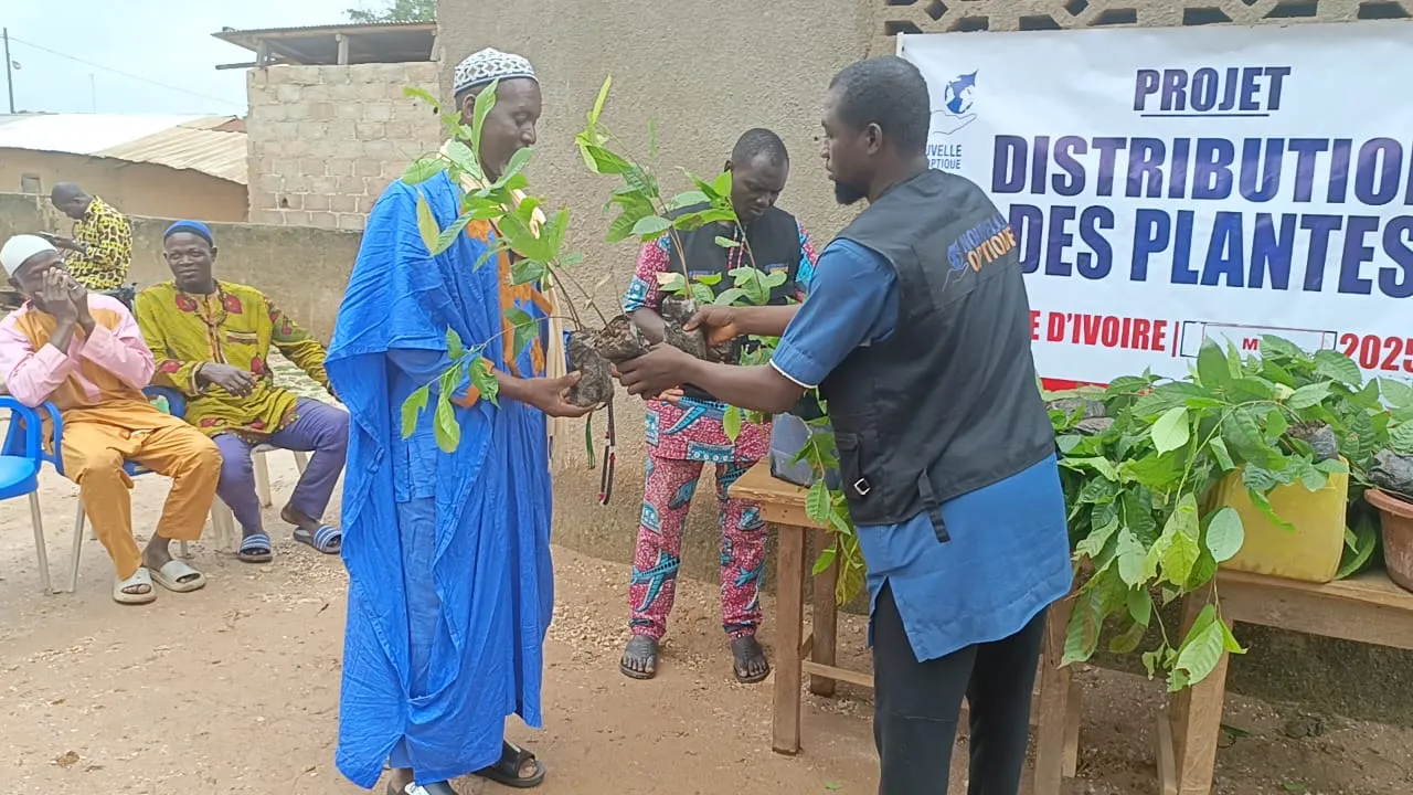 Distribution de plants, Côte d'Ivoire