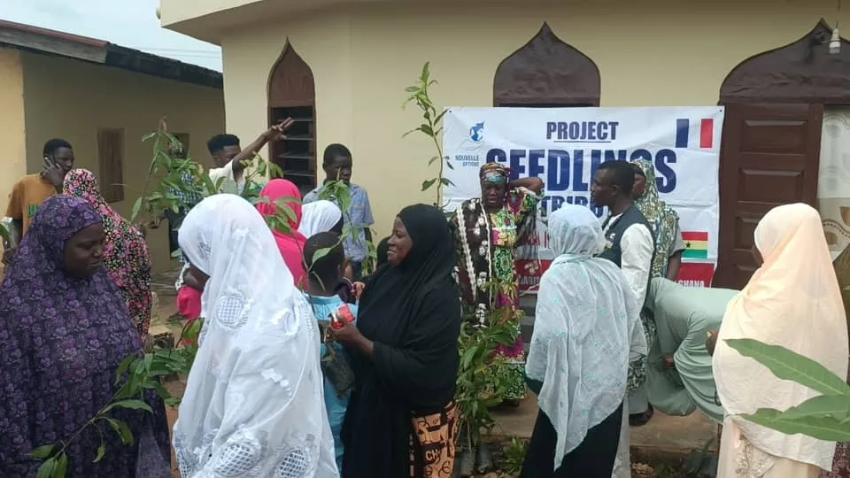 Distribution de plants, Ghana