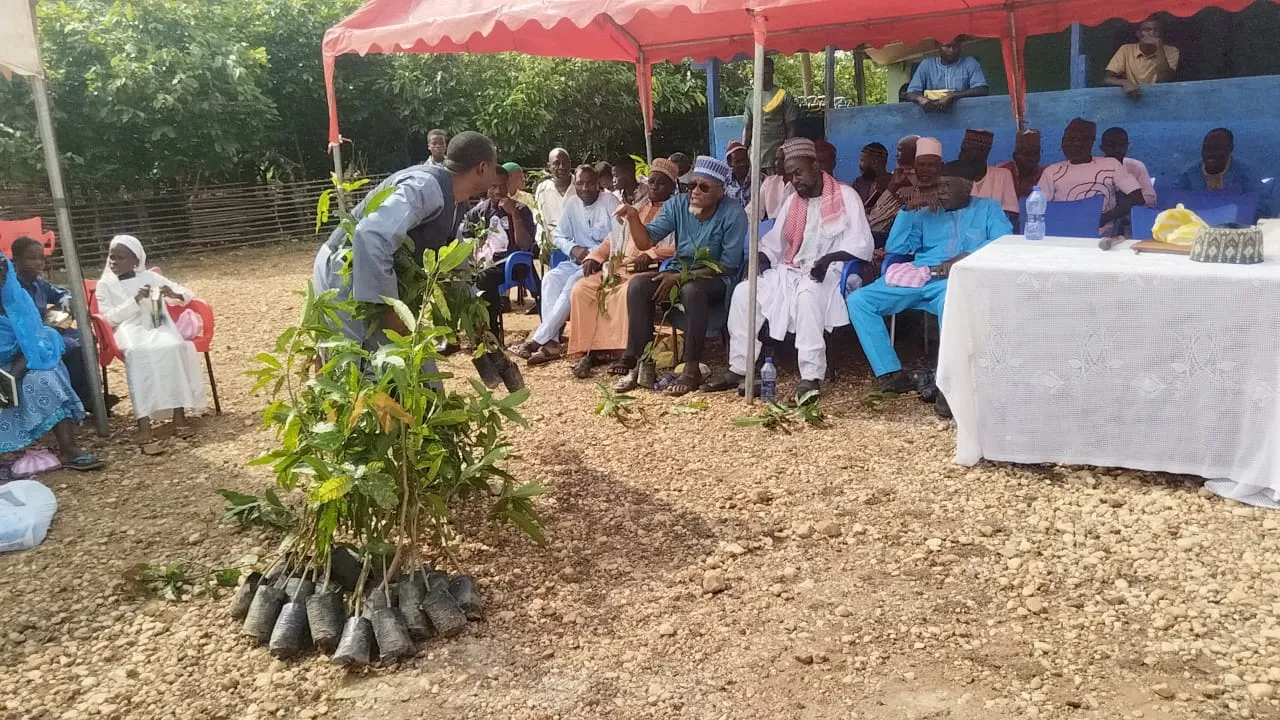 Distribution de plants, Ghana