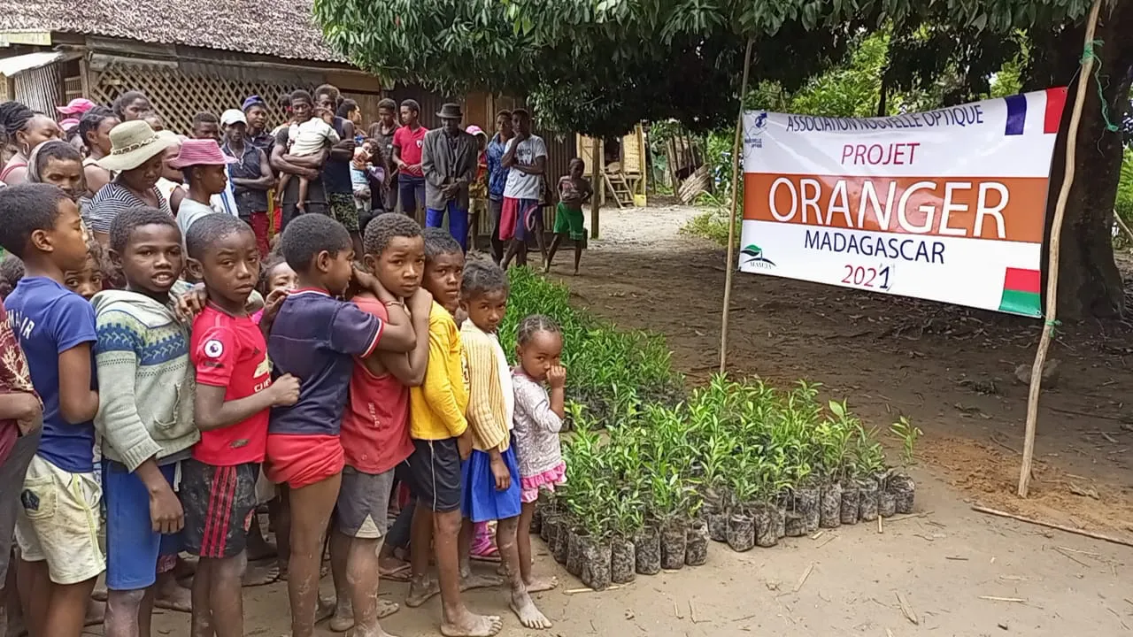 6 000 orangers plantés, Madagascar