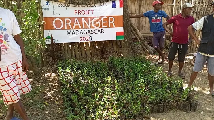 6 000 orangers plantés, Madagascar