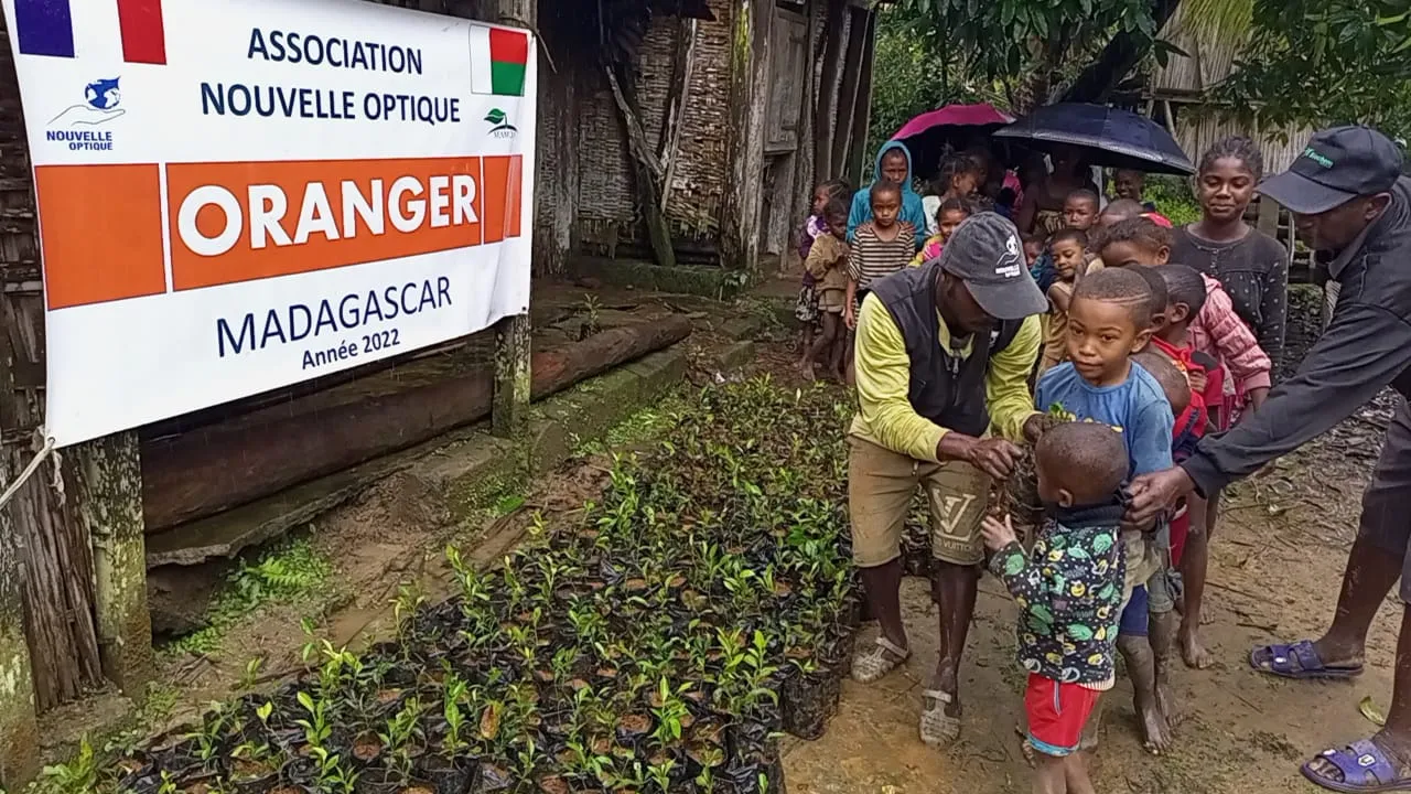 6 000 orangers plantés, Madagascar