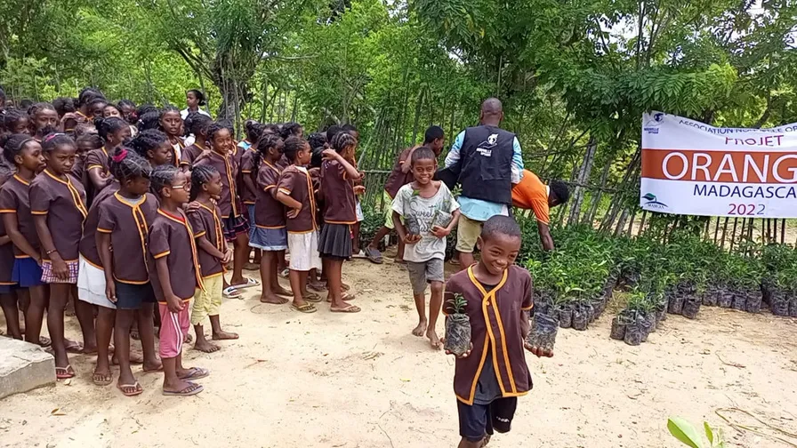 6 000 orangers plantés, Madagascar