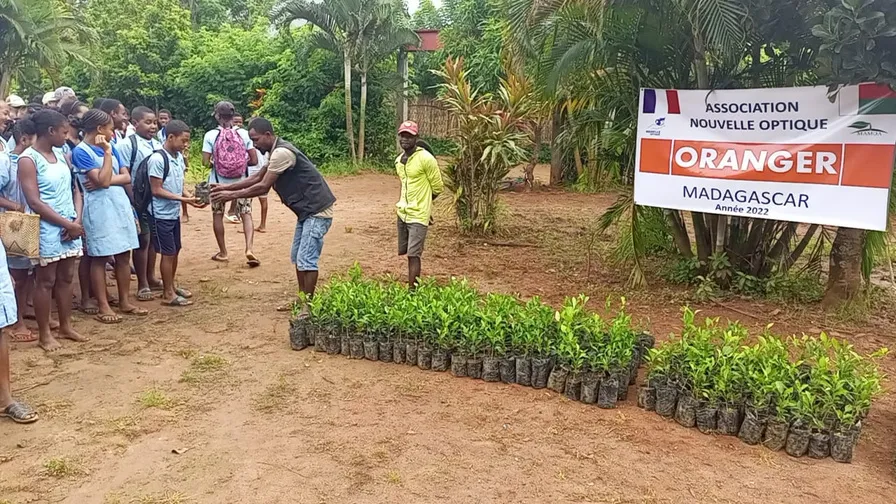 6 000 orangers plantés, Madagascar