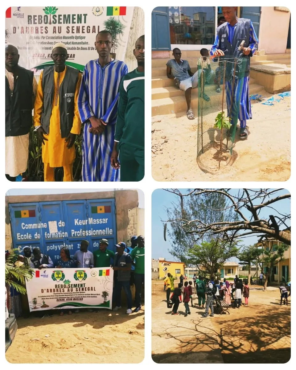 2 100 arbres plantés, Sénégal