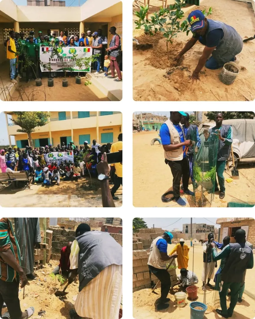 2 100 arbres plantés, Sénégal