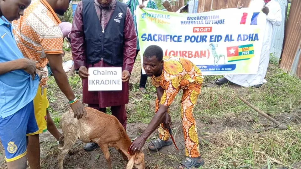 Moutons de Qurban, Togo