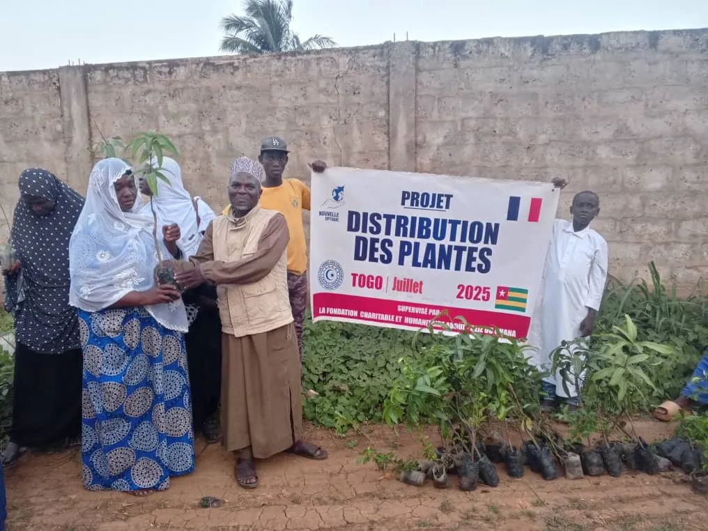 Distribution de plants, Togo