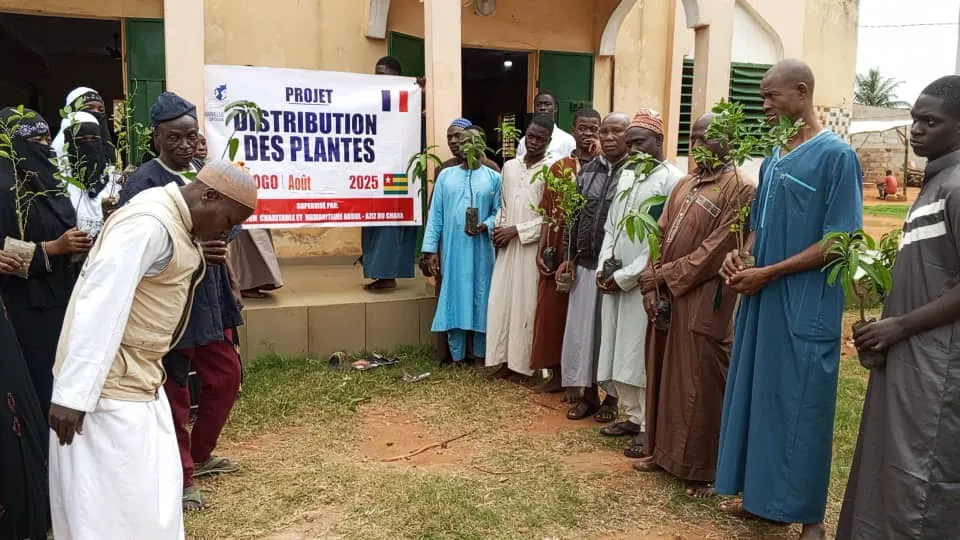 Distribution de plants, Togo