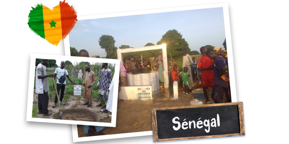 Collecte Puits Sénégal "Ouasila"